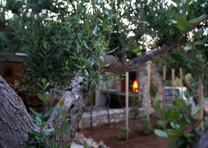 Holiday Home Stomorica - Secluded Olive Estate With Private Pool, Brac